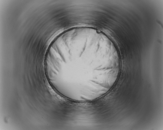 X0000102361189200808221709