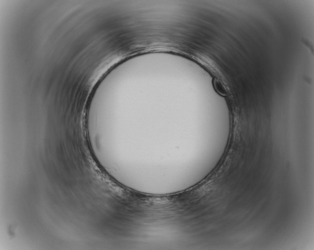 X0000102361190200808221709