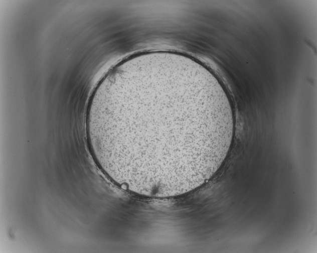 X0000102361191200808221709