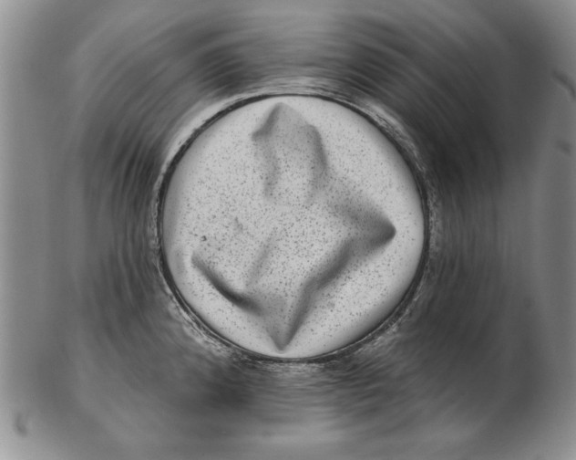 X0000102361192200808221709