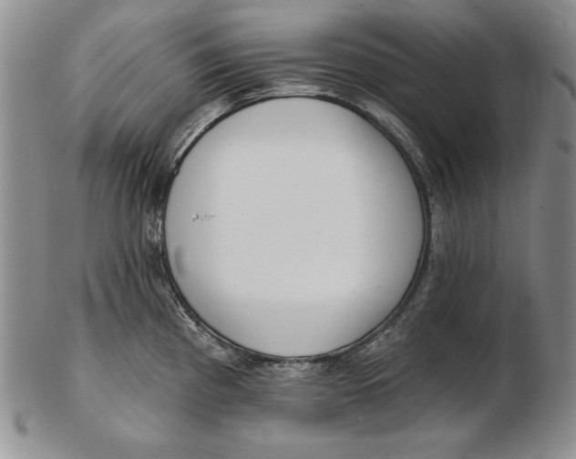 X0000102361193200808221709