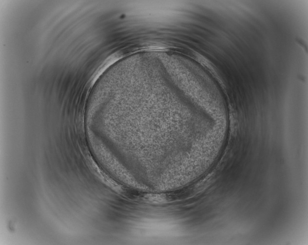 X0000102361194200808221709