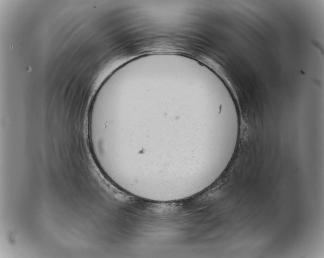 X0000102361195200808221709