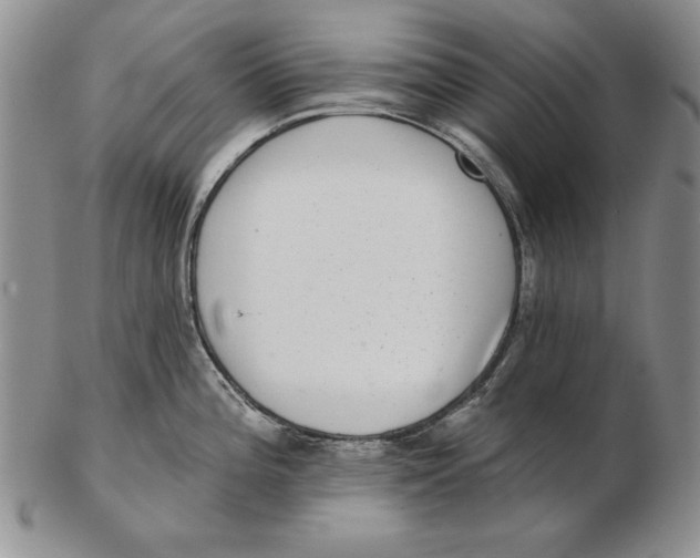 X0000102361196200808221709