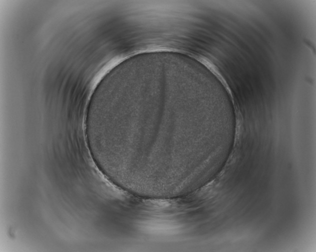 X0000102361197200808221709