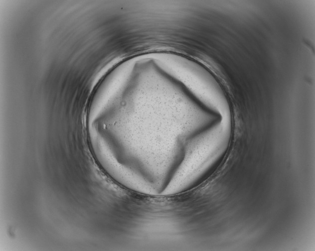 X0000102361198200808221709