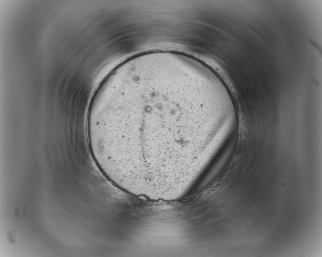 X0000102361199200808221709