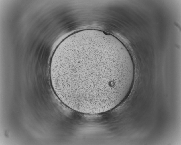 X0000102361200200808221709