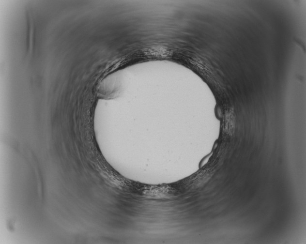 X0000102361201200808221708