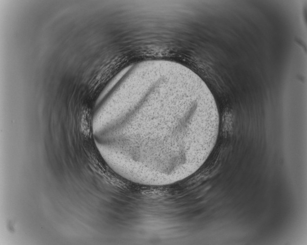 X0000102361202200808221708