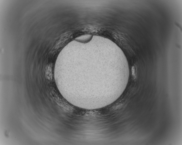 X0000102361203200808221708