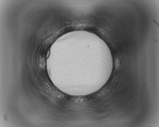 X0000102361204200808221708