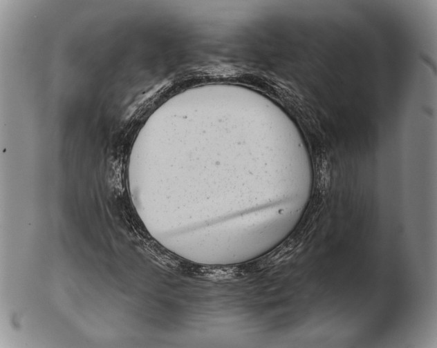 X0000102361205200808221708