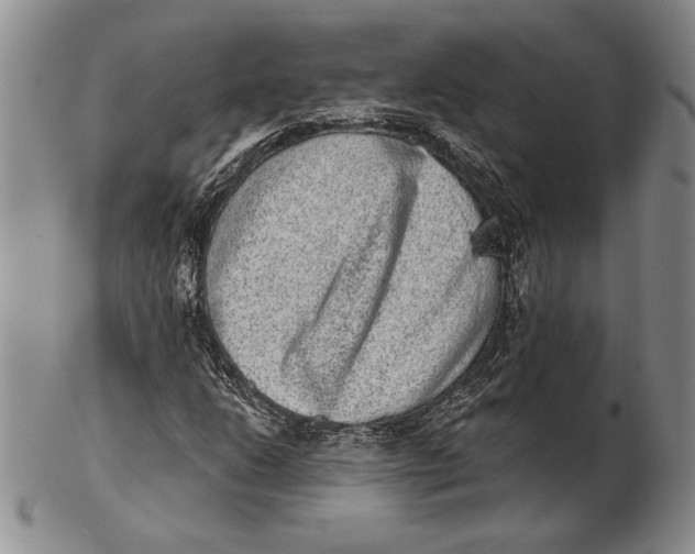 X0000102361206200808221708