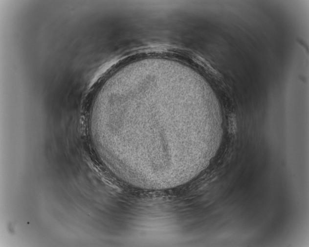 X0000102361208200808221708