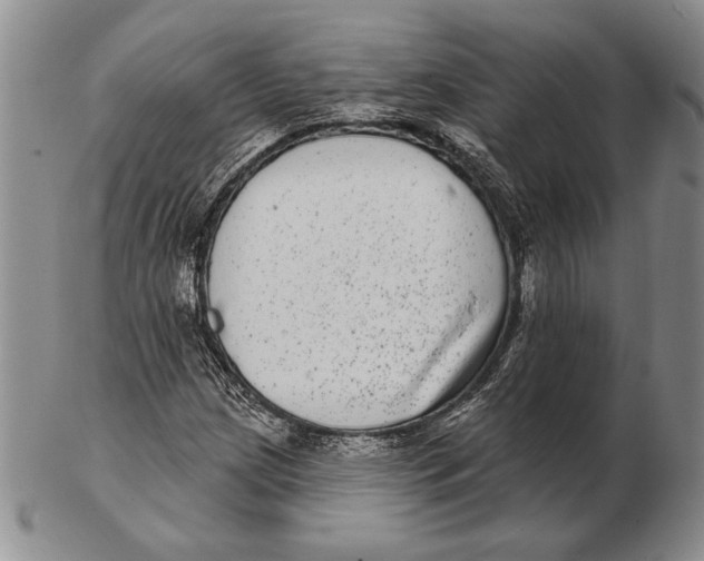 X0000102361209200808221708