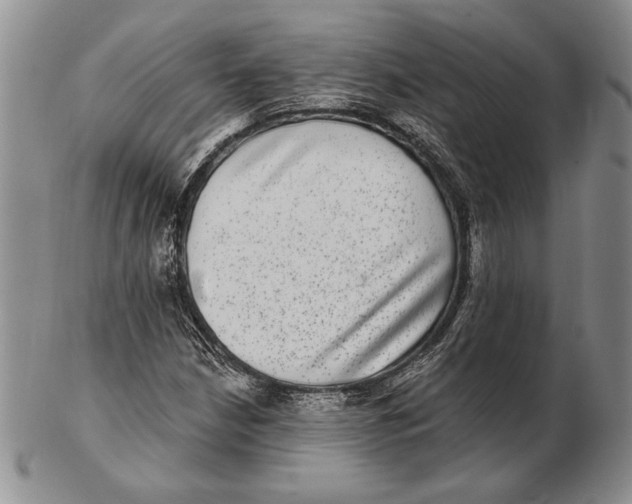 X0000102361210200808221708