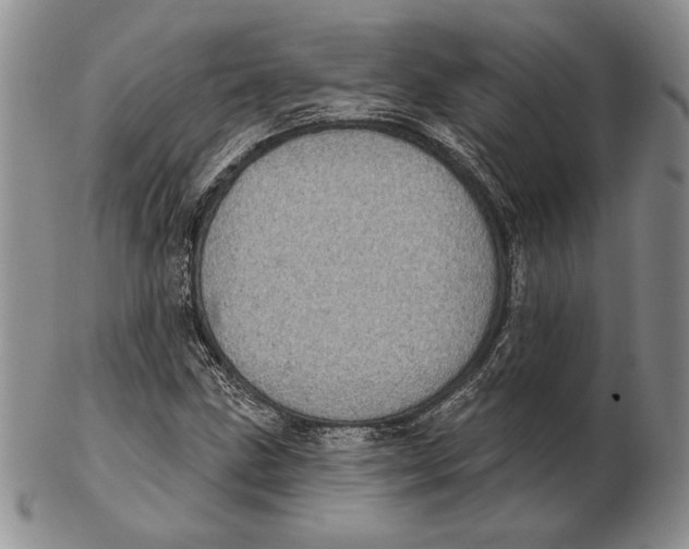 X0000102361211200808221708