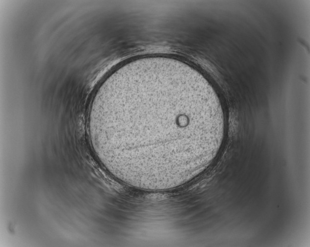 X0000102361212200808221708