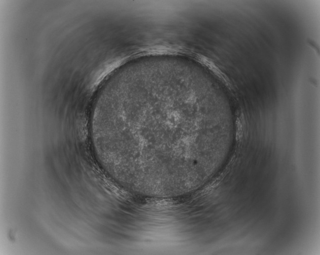 X0000102361213200808221708