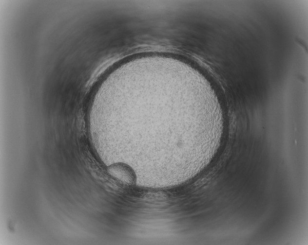 X0000102361215200808221708