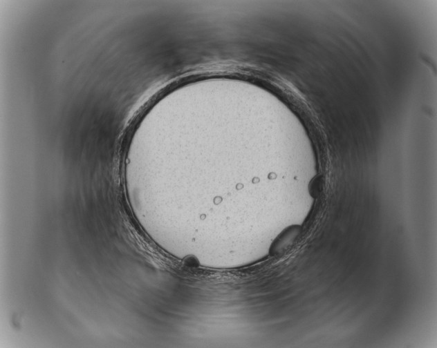 X0000102361216200808221708