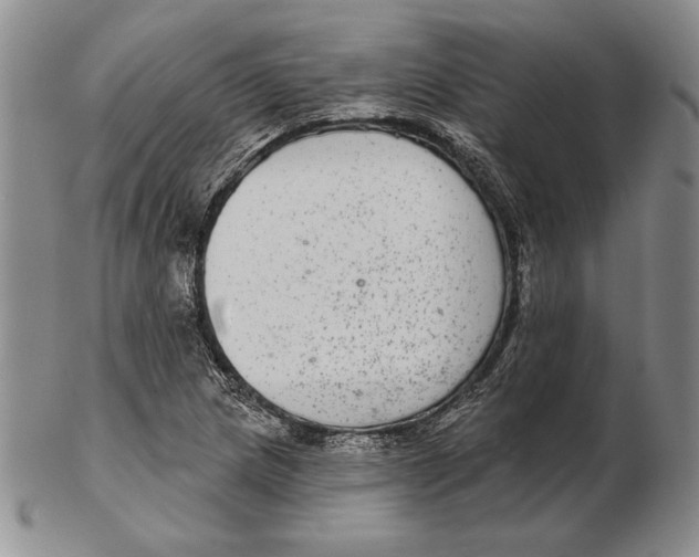 X0000102361217200808221708