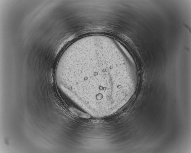 X0000102361218200808221708