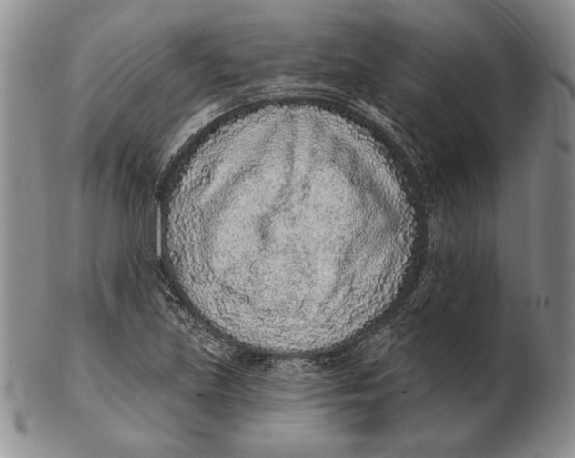 X0000102361219200808221708