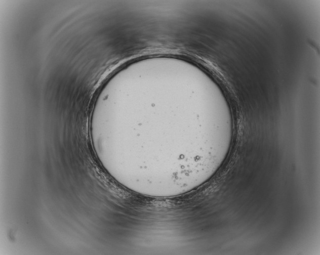 X0000102361220200808221708