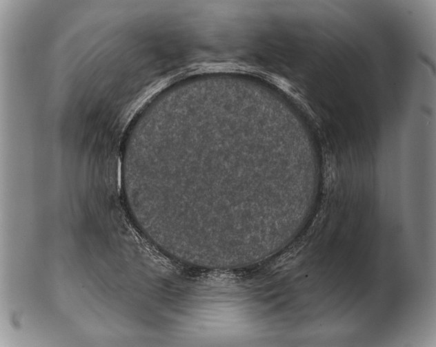 X0000102361221200808221708