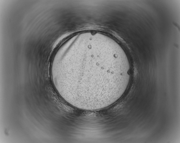 X0000102361222200808221708