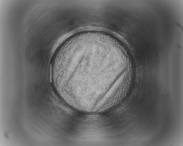 X0000102361223200808221708