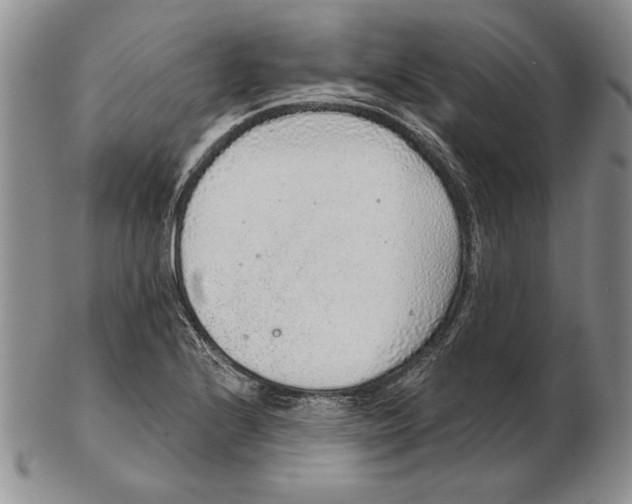 X0000102361224200808221708