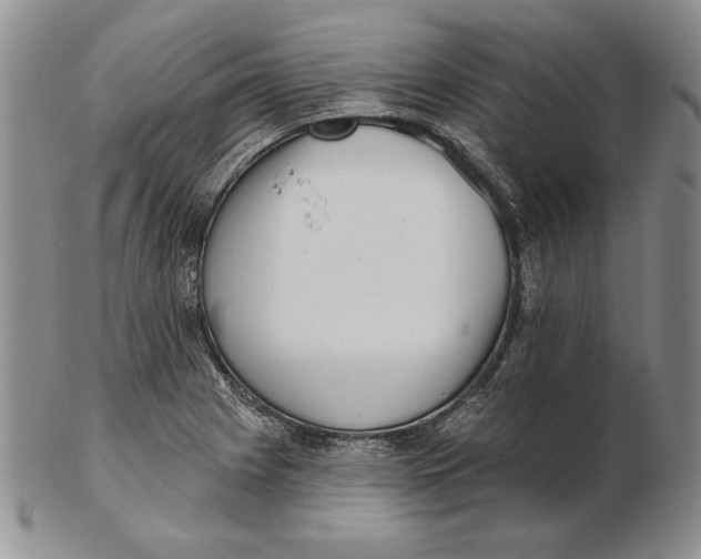 X0000102361225200808221708