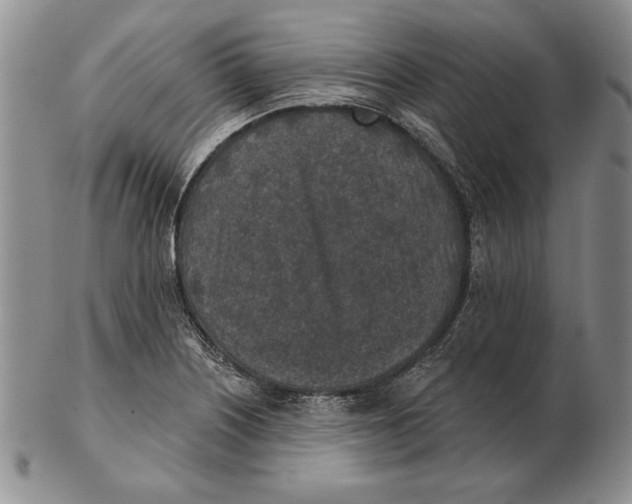 X0000102361226200808221708