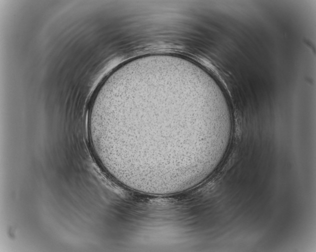 X0000102361227200808221708