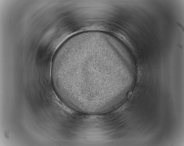 X0000102361228200808221708