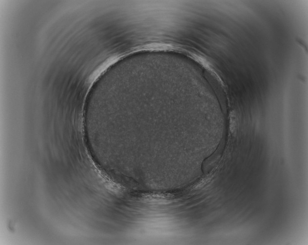 X0000102361229200808221708