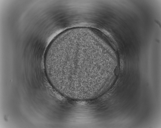 X0000102361230200808221708