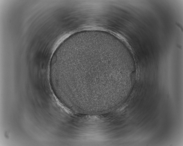 X0000102361231200808221708