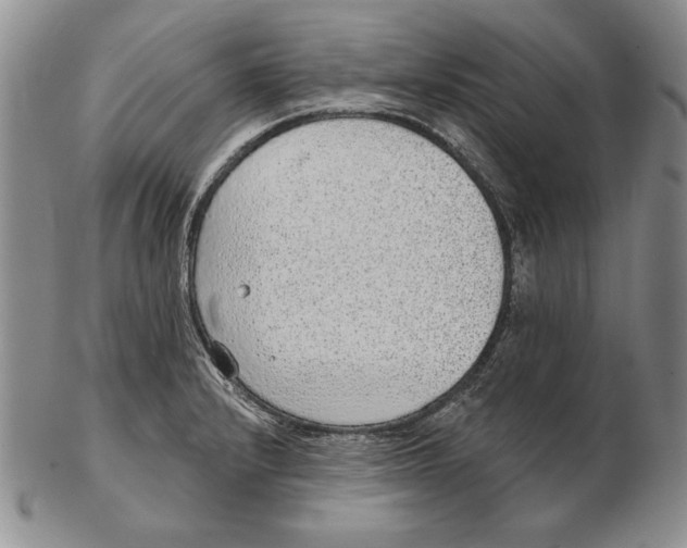 X0000102361232200808221708