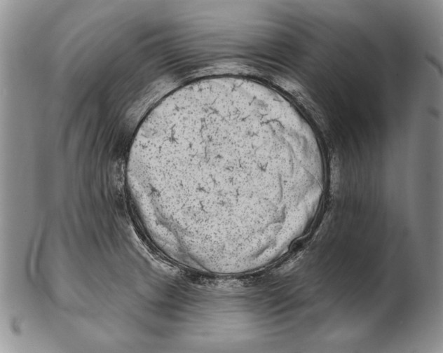 X0000102361233200808221708