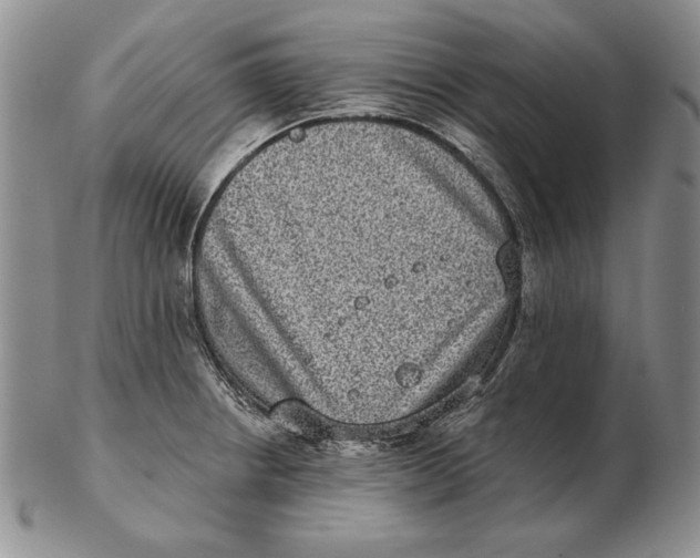 X0000102361234200808221708