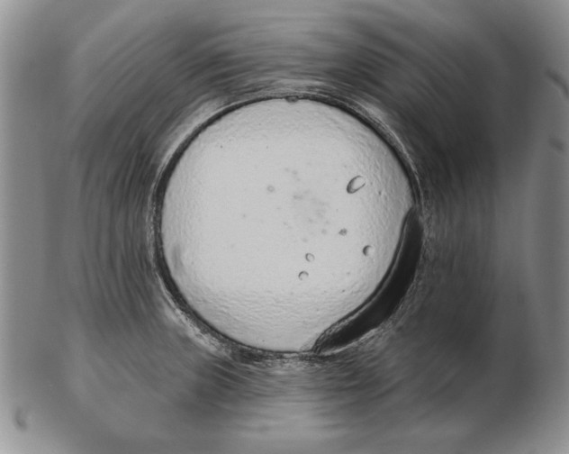 X0000102361235200808221708