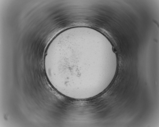 X0000102361236200808221708