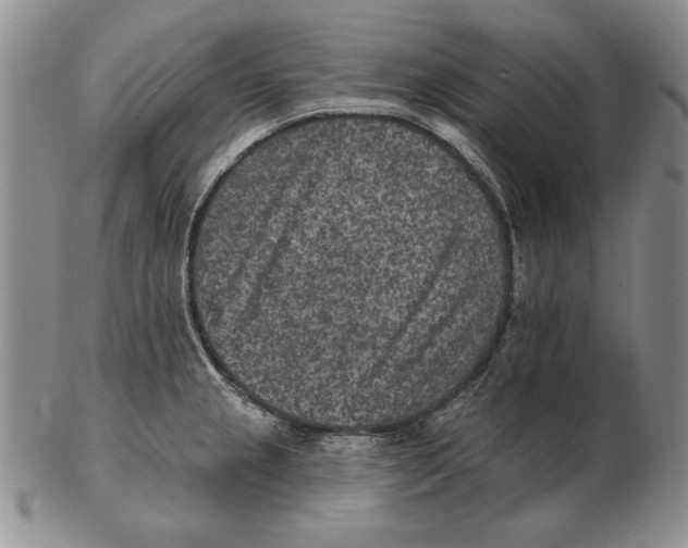 X0000102361237200808221708