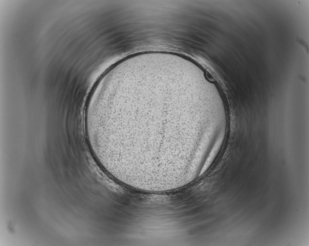 X0000102361238200808221708