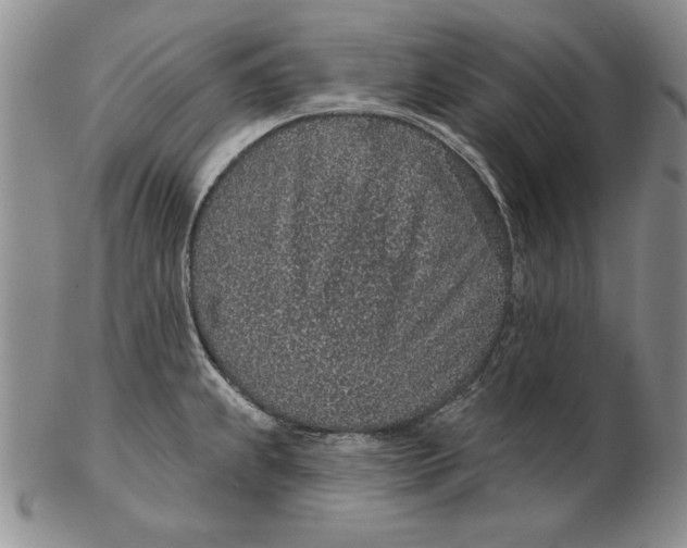 X0000102361239200808221708