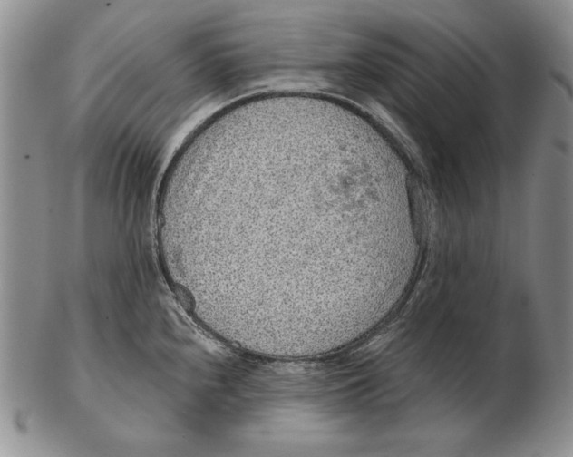 X0000102361240200808221708